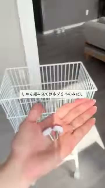 ワイヤーのかごの前で、手のひらに白いつまみのネジ2本をのせている様子